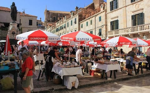 Dubrovnik Old Town Walking Tour with Local Guide