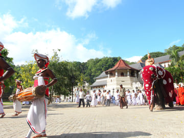 10-Day Adventure Tour of Colombo, Sri Lanka