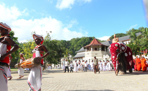 10-Day Adventure Tour of Colombo, Sri Lanka