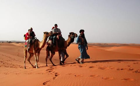 Private 4-Day Desert Adventure from Fes to Erg Chebbi Dunes