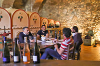 Vineyard Tour and Tasting of Lugana Wines 7