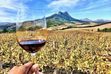 Private Full Day Wine Tour from Cape Town to Stellenbosch