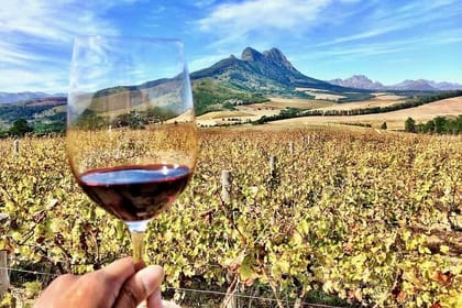 Private Full Day Stellenbosch Wine Tour