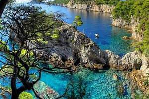 Private Half - Day Tour: Speedboat Tour