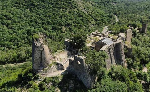 Private Full-Day Cultural Tour of Georgia from Tbilisi