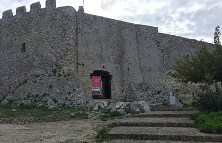 Half-Day Private Tour from Katakolo or Kyllini Port to Anc. Ilis