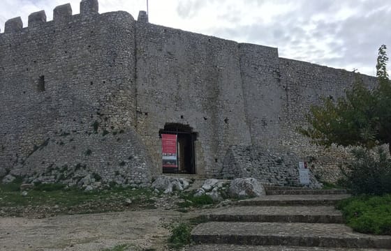 Half-Day Private Tour from Katakolo or Kyllini Port to Anc. Ilis