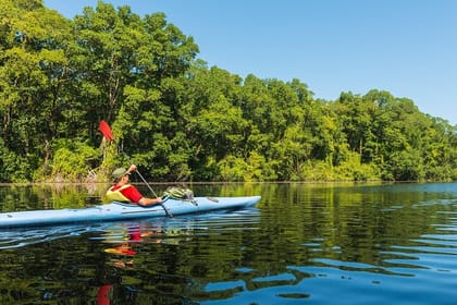 4-Hour Private Kayaking Experience in Galle