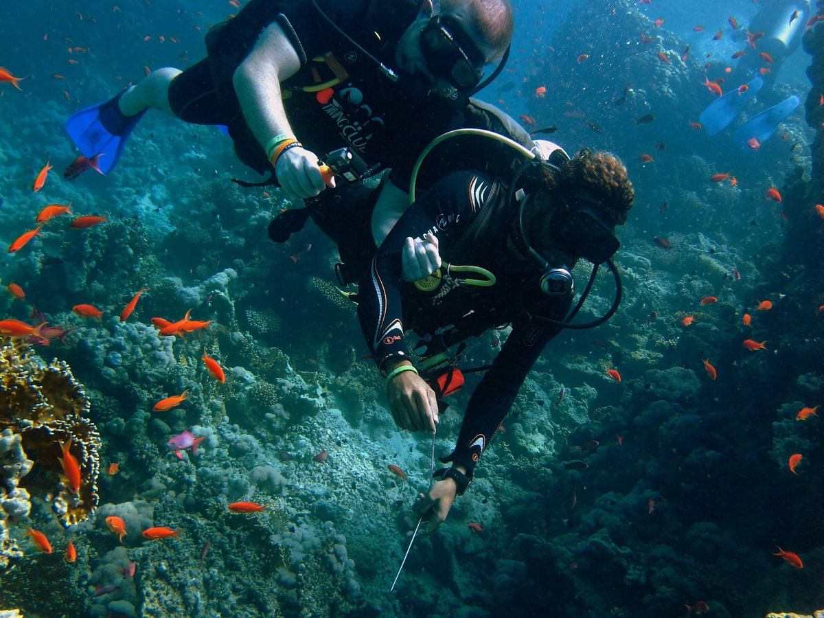 Duiken in Sharm-el-Sheikh | Stepway Tours