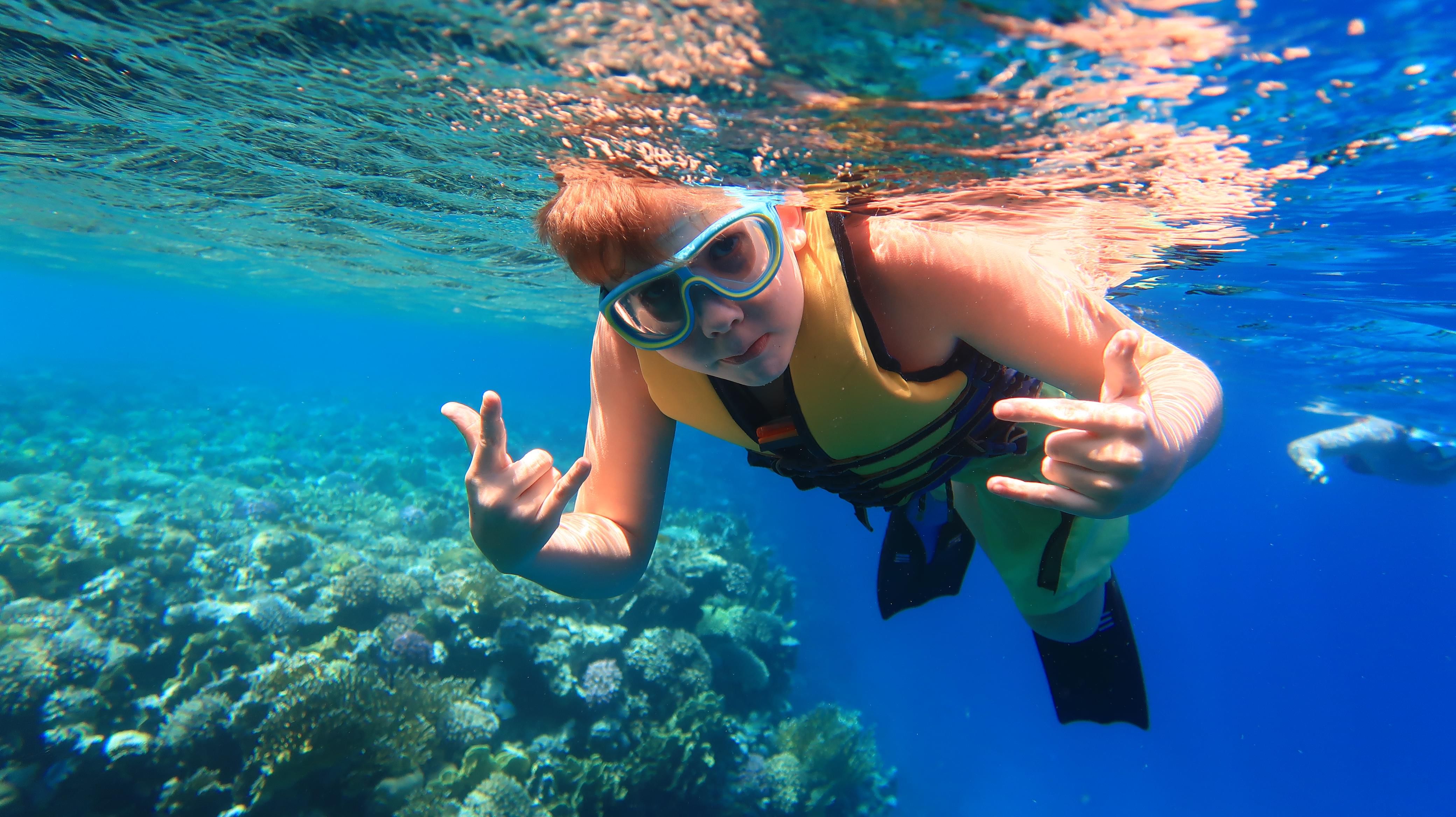 Snorkeling Boat Trip in Tiran Island