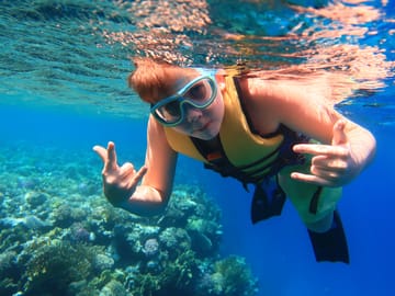Snorkeling Day Trip to Tiran Island from Sharm El Sheikh