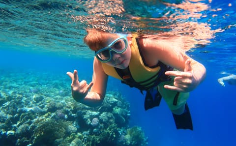 Snorkeling Day Trip to Tiran Island from Sharm El Sheikh