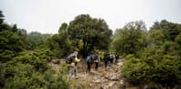 Hiking Mountain Parnitha 3