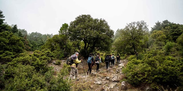 Hiking Mountain Parnitha