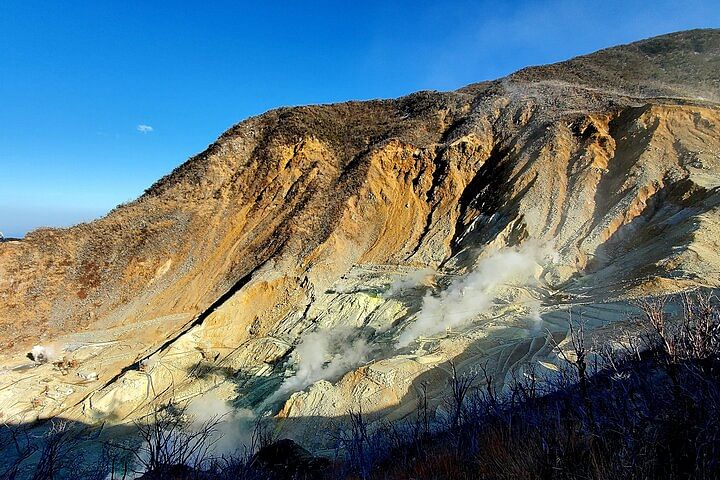 Full Day Private Guided Tour Mt. Fuji and Hakone