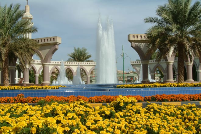 al ain city tour