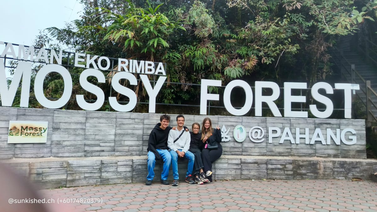 Cameron Highlands Day Tour from Ipoh with lavender garden and tea plantation