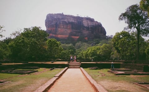 11-Day Cultural and Nature Tour of Colombo, Sri Lanka