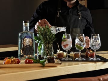 Gin Tasting Experience in Athens with Local Varieties