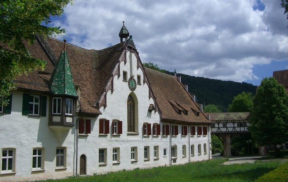 Guided Cultural Walking Tour of Blaubeuren, Germany