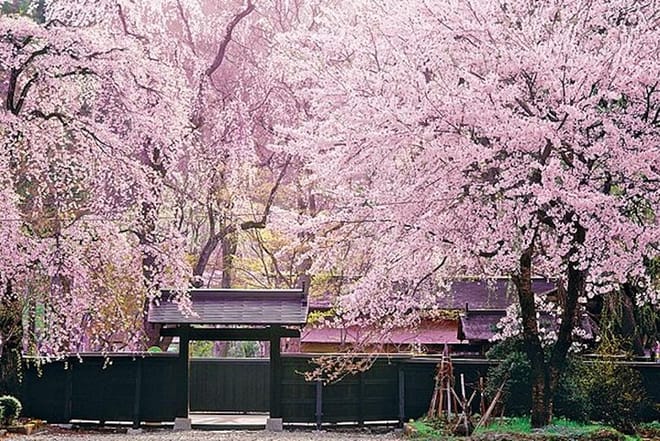 Explore Tohoku - Experience Mochi Making and See Local Life in Ichinoseki photo 4