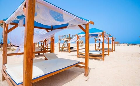 Snorkeling Adventure at Nemo Island Bay in Hurghada