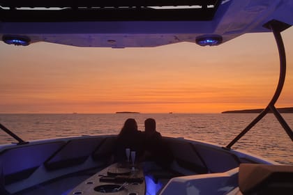 ❖ Alesta Raptor | Private