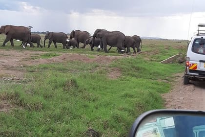 Private 3-Day Safari at Amboseli National Park from Nairobi