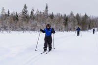 Cross Country Skiing Experience - Rovaniemi 10