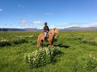 05B - Below the Mountains, photo 6