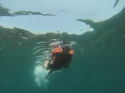 Kayak Calanques et Îles de Marseille 9