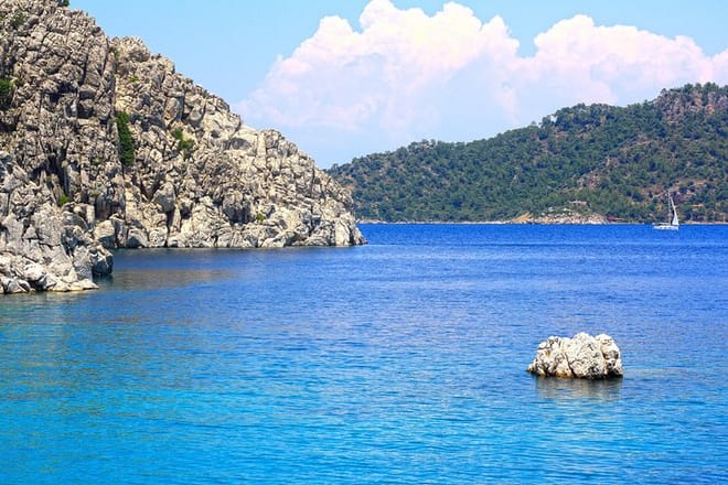 Camellia island, Turkey