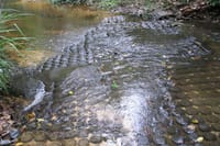 Private One Day Exploration at Thousands of Linga, Kbal Spean and Lady Temple 2