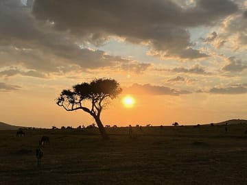 Amboseli day trip with pick up