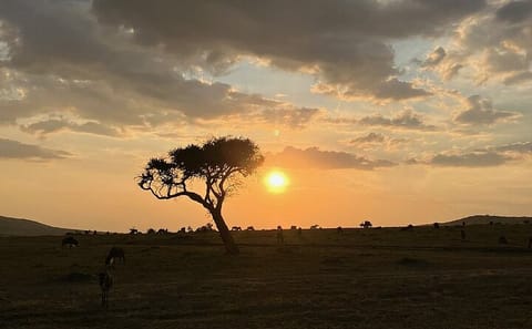 Amboseli day trip with pick up
