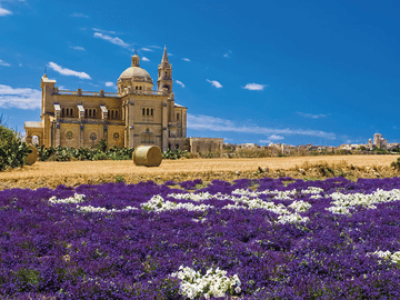 Afternoon Valletta Harbour Cruise and Free Time In Sliema (Including Guide and Transport)