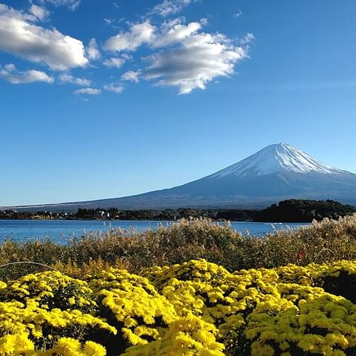 Full Day Mount Fuji Private Tour with English Speaking Guide