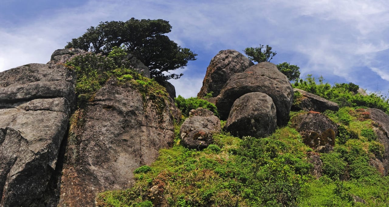  Trekking to Knuckles Range  2