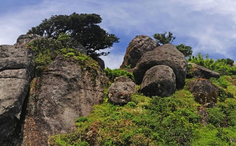 Trekking Adventure in Knuckles Forest Reserve, Sri Lanka
