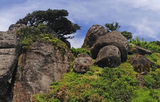 Trekking to Knuckles Range