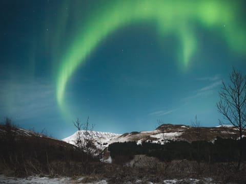 Northern Lights 4×4 | Private Super Jeep Tour | Photo Package Included, photo 4