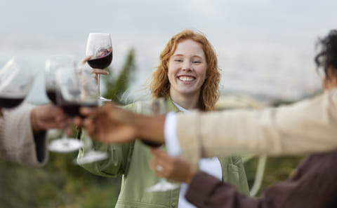 Private Etyek Wine Tour and Danube Evening Cruise in Budapest