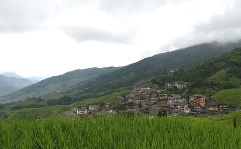 Longji Rice Terraces Day Tour in Guilin, China