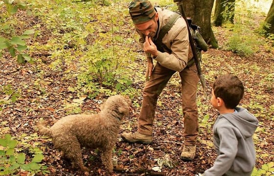 Truffle Hunting and Amarone Wine Tasting in Marano di Valpolicella