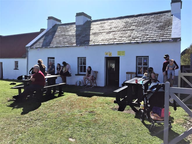 Great Scattery Island experience departing from Kilrush. Clare. Guided.  photo 5