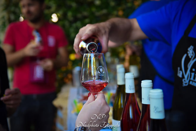 La Vinarte Winery and Tasting - Photo 2