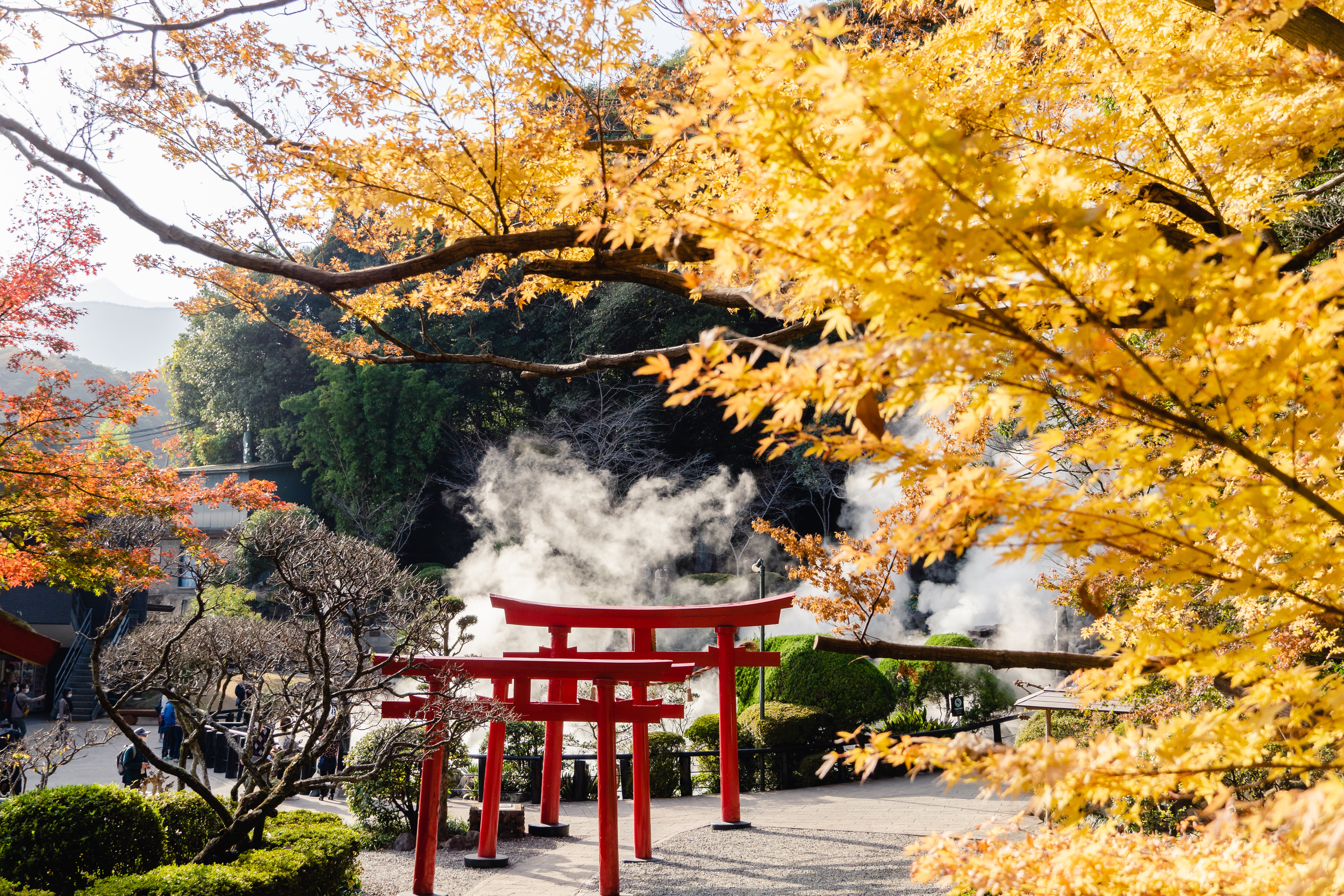 Beppu Custom Day Tour