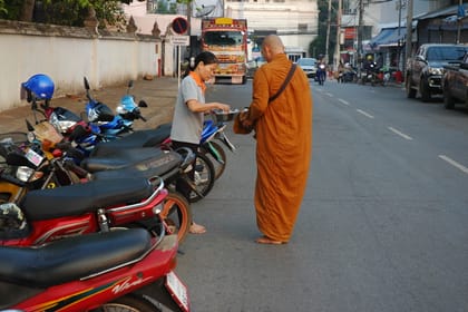 Monks Morning Almsgiving Tour (Food Offering)
