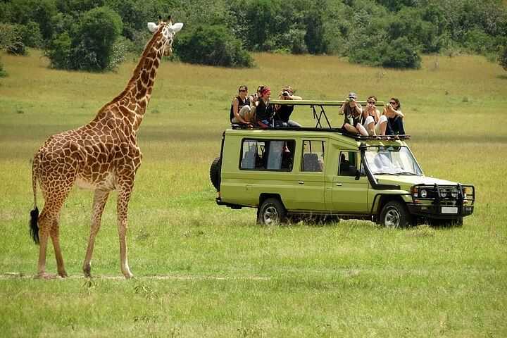 Masai Mara Budget Camping Safari with Sunset Game Drives in 4X4 Jeep