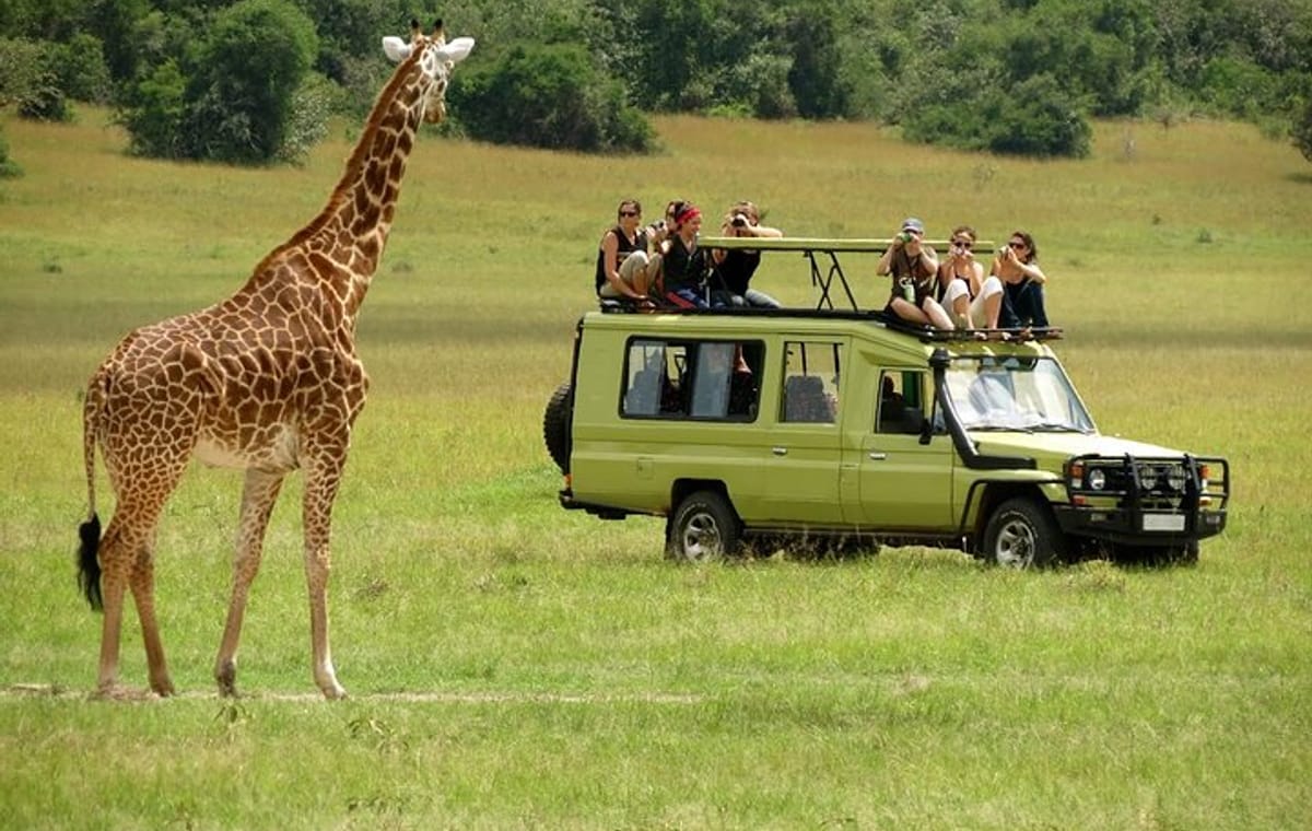 3 Days Masai Mara Budget Camping Safari on 4X4 Land Cruiser